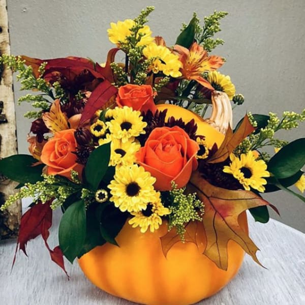 Cutest Pumpkin In the Patch