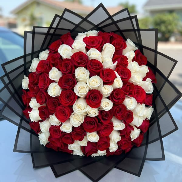 Large round bouquet of tightly packed red and white roses wrapped in layered black paper.