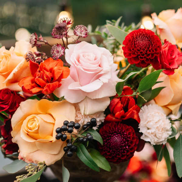 Designer's Choice - Autumnal