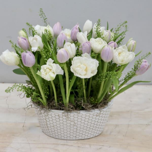 Lavender and white tulips arranged upright in a low white textured ceramic bowl
