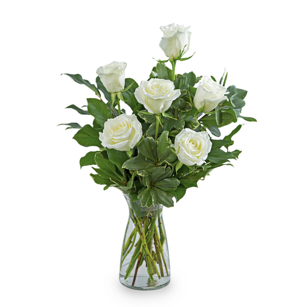 White Roses (6)