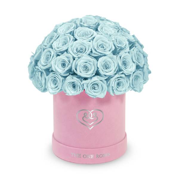 Suede Dome | Basic Pink Box Frozen Blue