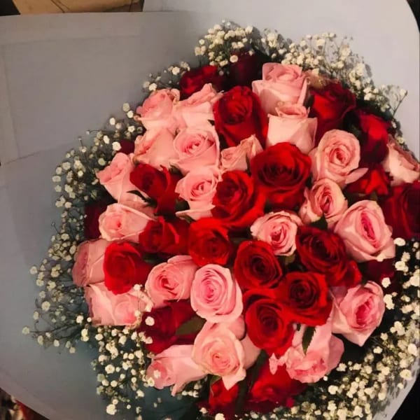 24 Pink roses,24 Red Roses, 3 white stems of baby's breath, is a wraps bouquet with white paper and a red bow