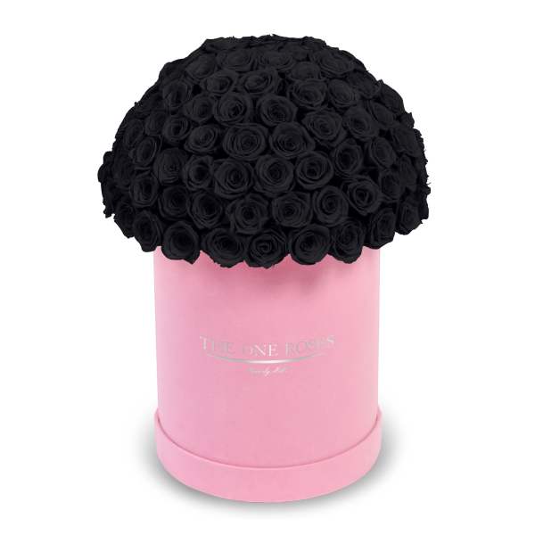 Suede Dome Deluxe | Premium Pink Box Onyx Black
