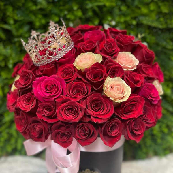 Enchanted Field PLA122