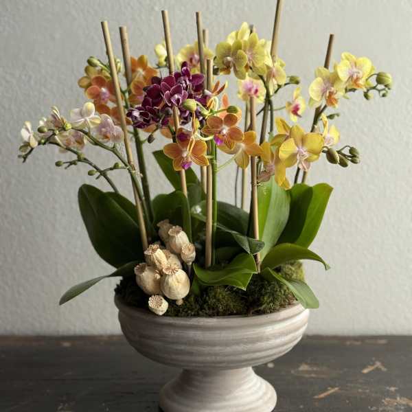 Mother's Day Arrangement #5