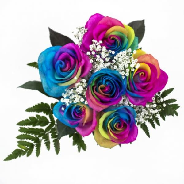 6 Rainbow Rose Bouquet