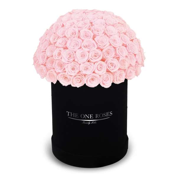 Suede Dome Deluxe | Premium Black Box Fairy Tale Pink