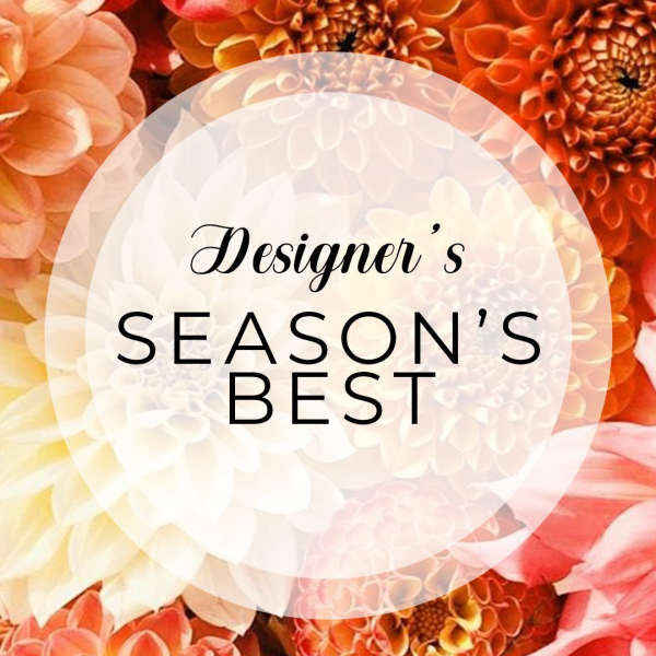 Designer's choice Seasons Best