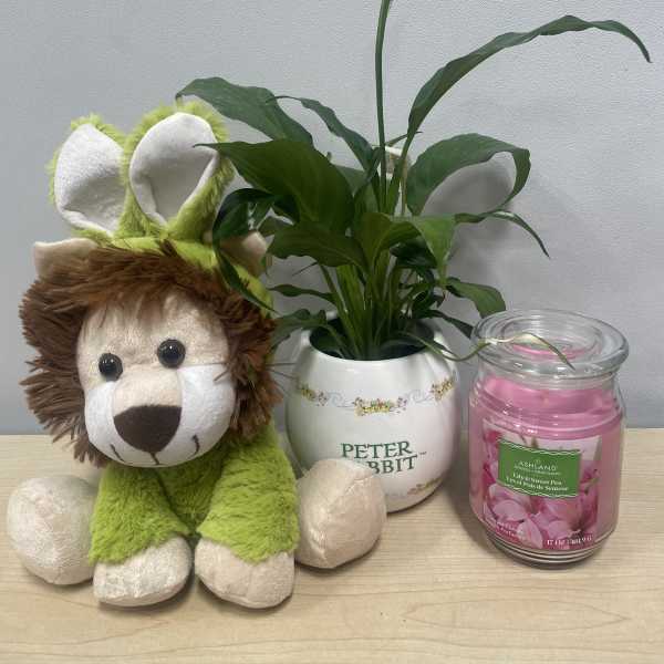 Easter Lion Planter Trio