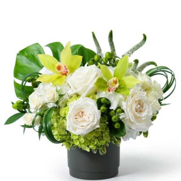 Low white and green arrangement with roses, green hydrangea, and orchids in a dark round pot.