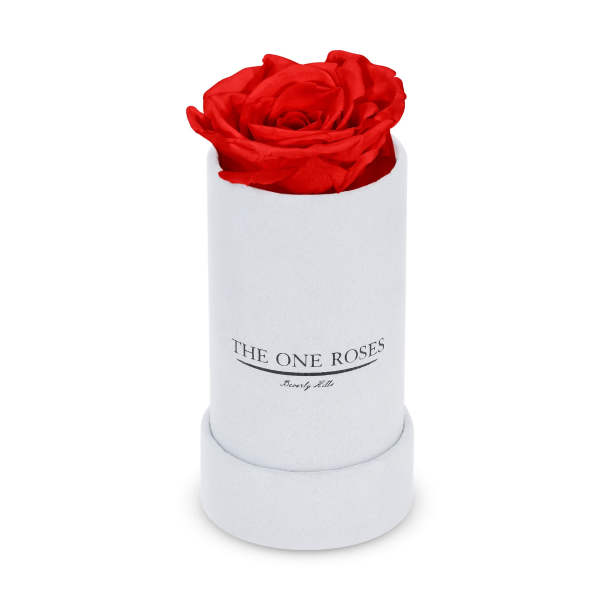 Suede Single | The One White Box Crimson Red Rose