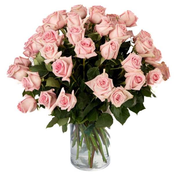 Large arrangement of light pink roses in a clear glass cylinder vase