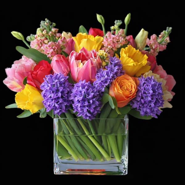 Bright mixed spring arrangement of tulips, daffodils, hyacinths, roses and stock in a clear rectangular glass vase