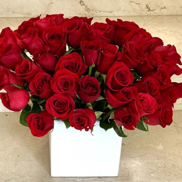 50 premium red roses, arranged low and compact for a modern, elegant look.