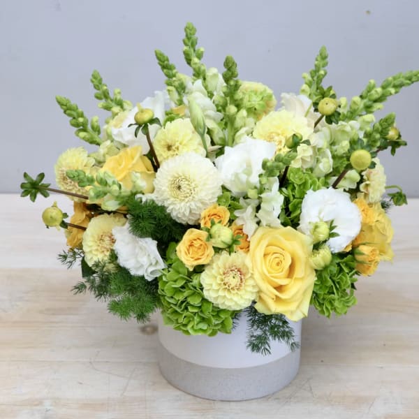 Color Me Summer - Weho