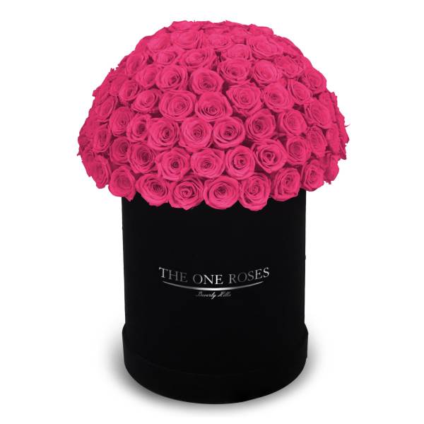 Suede Dome Deluxe | Premium Black Box Hot Pink