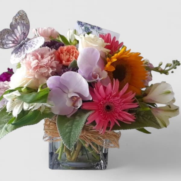 Butterfly Beauty Designer's Choice