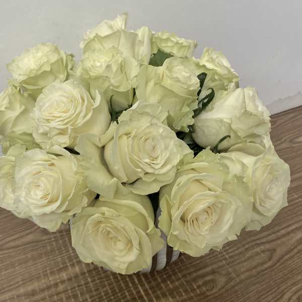 Happiness for beginners