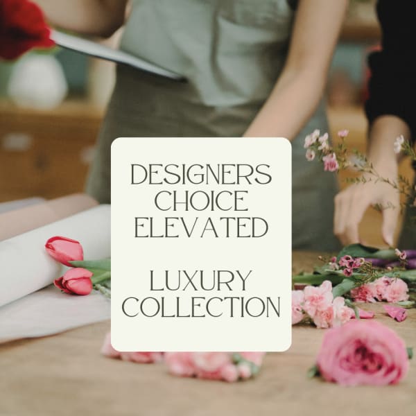 Designers Choice, Elevated Luxury Collection