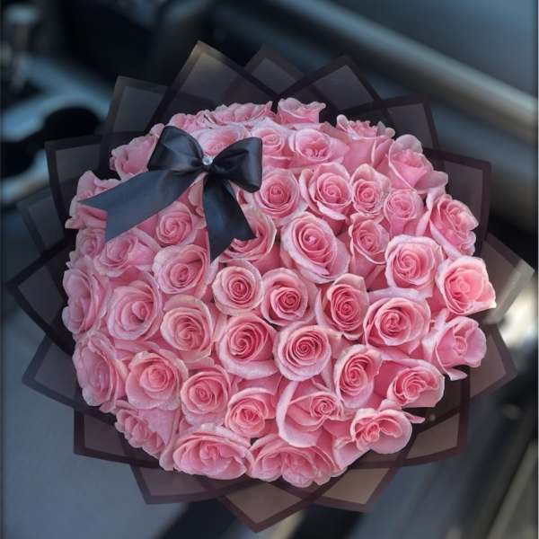 50 Light Pink Roses