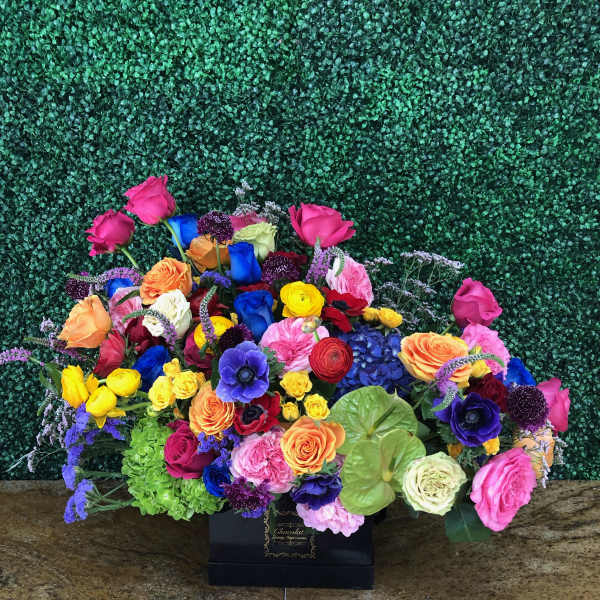 Alexandria - Everything and a Rainbow