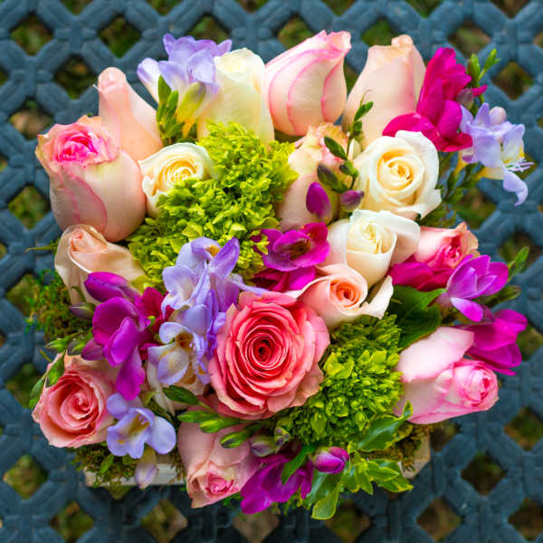 Scatola di Primavera