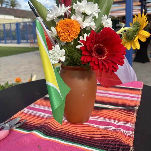 Bird of Paradise Bliss