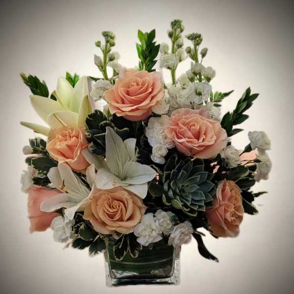 Upscale Botanical Garden