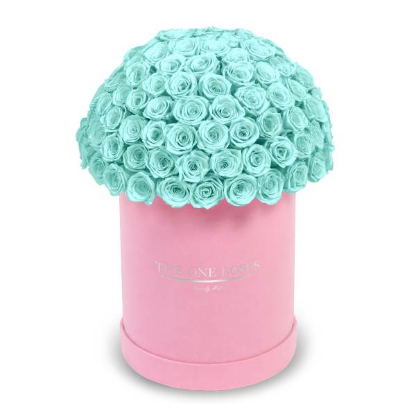 Suede Dome Deluxe | Premium Pink Box Teal Blue
