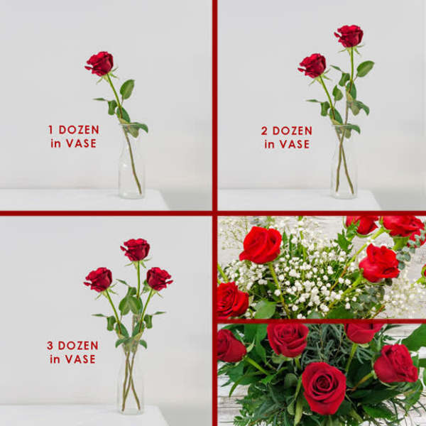 1, 2, or 3 Dozen Roses in VASE