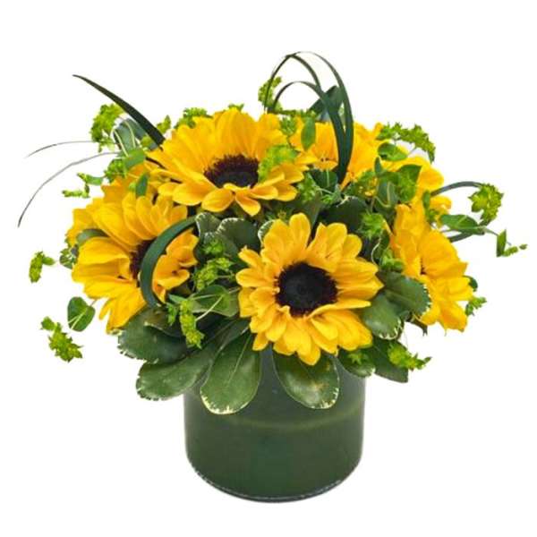 Low arrangement of yellow sunflowers with looping greenery in a green cylinder vase