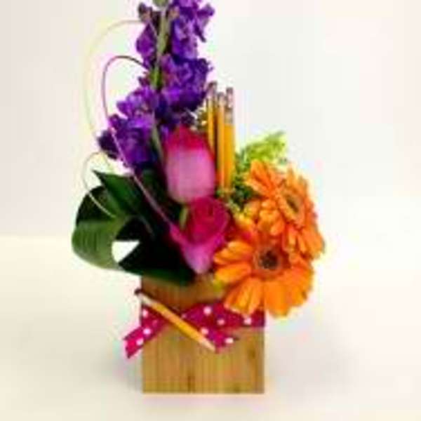 Various Colors of Knowledge