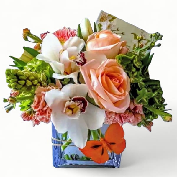 Short peach and white flower arrangement with roses and orchids in a blue glass cube vase with an orange butterfly.
