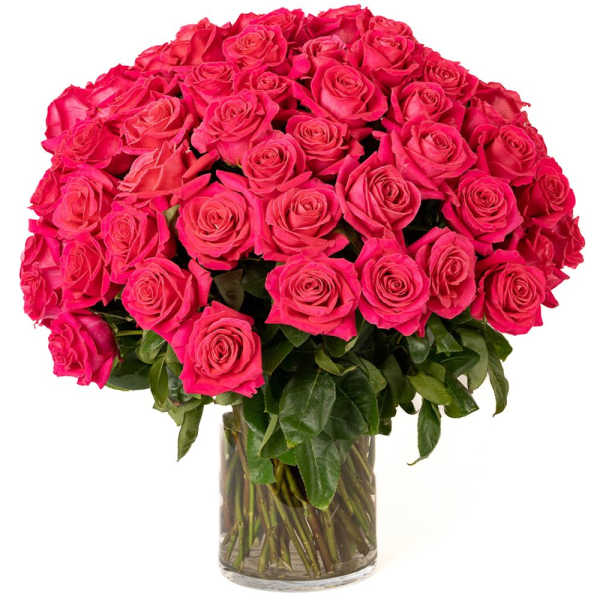 Large bouquet of hot pink roses arranged tightly in a clear glass cylinder vase.