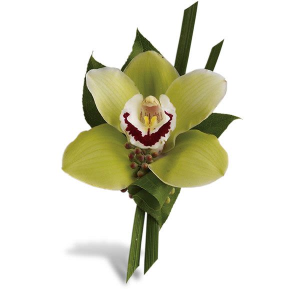Single green cymbidium orchid boutonniere with burgundy center and linear grass accents.