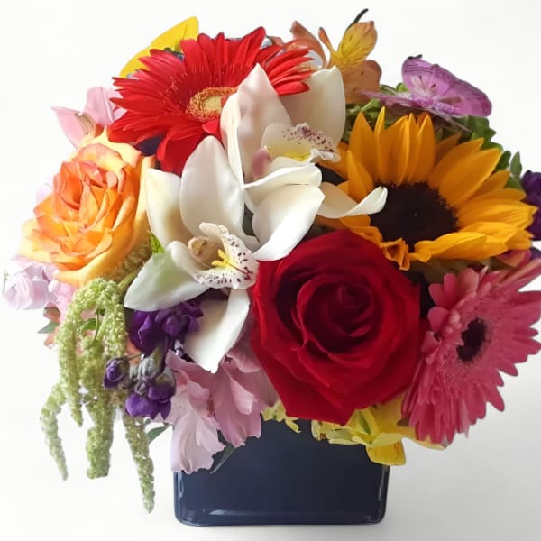 Bright mixed arrangement with roses, orchids, sunflowers, and gerberas in a dark cube vase
