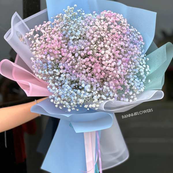 Pastel pink, blue, and white baby’s breath bouquet wrapped in layered pastel blue and pink paper