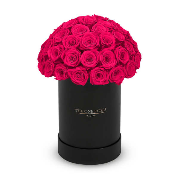 Round Dome | Basic Black Box Hot Pink