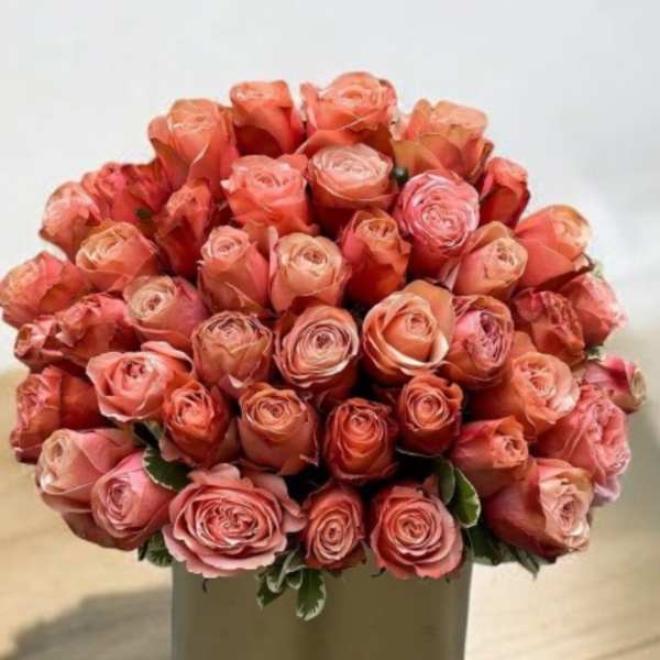 Coral Garden Roses