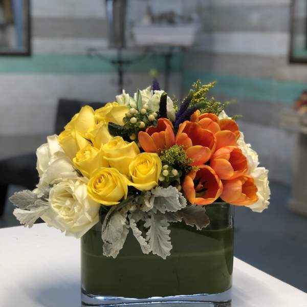 Bernal Heights Delight