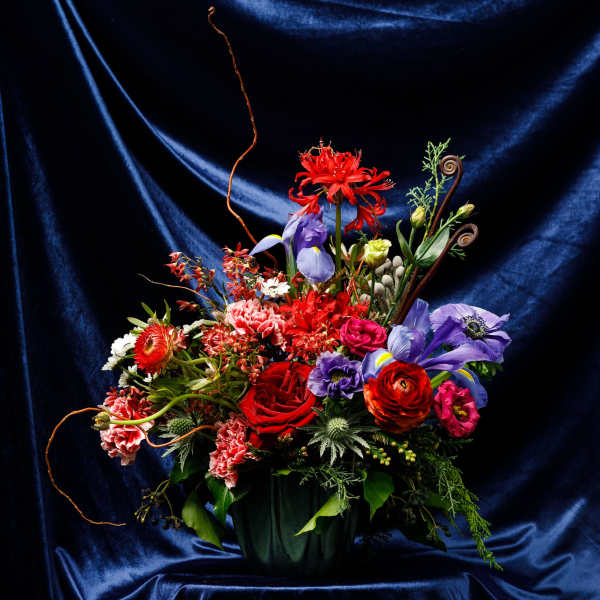 Bed-Stuy Collection: The Halsey , Fall/Winter Edit