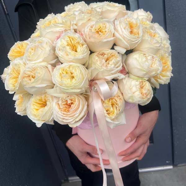 50 Garden Roses in a Box