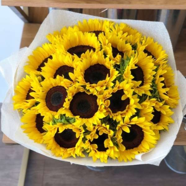 Sunflowers