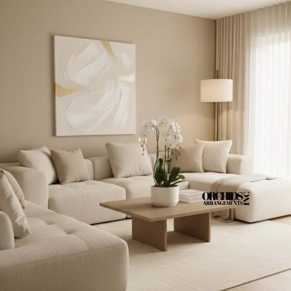 White Phalaenopsis Orchid – Elegant Minimal Style