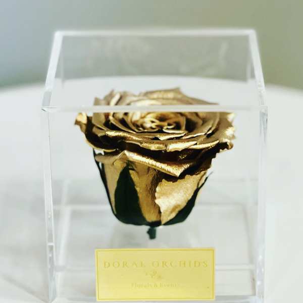 Forever Rose Gold ™