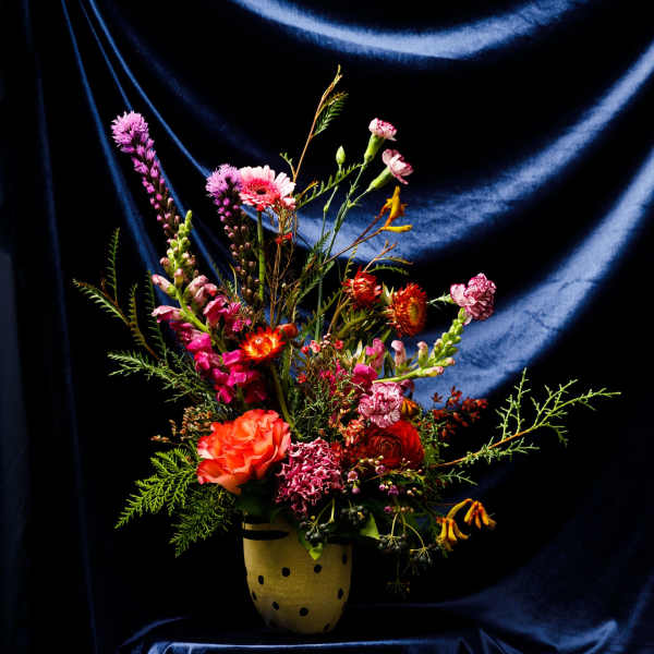 Bed-Stuy Collection: The Marcy , Fall/Winter Edit