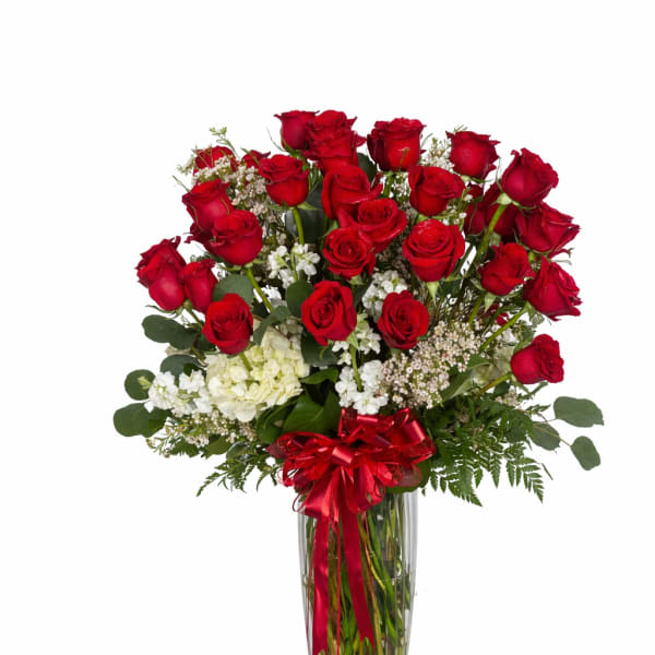50 Premium Roses