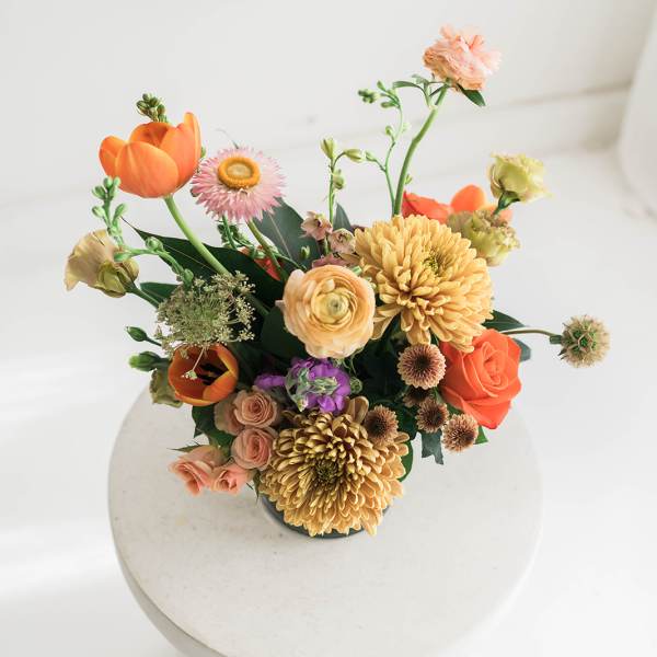 Bright & Earthy Petite Designer's Choice