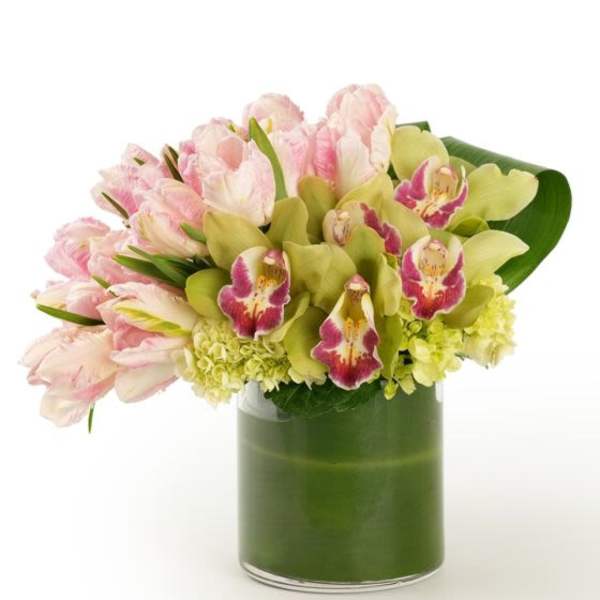 Compact arrangement of pink tulips, green orchids, and hydrangea in a clear glass vase wrapped with green.